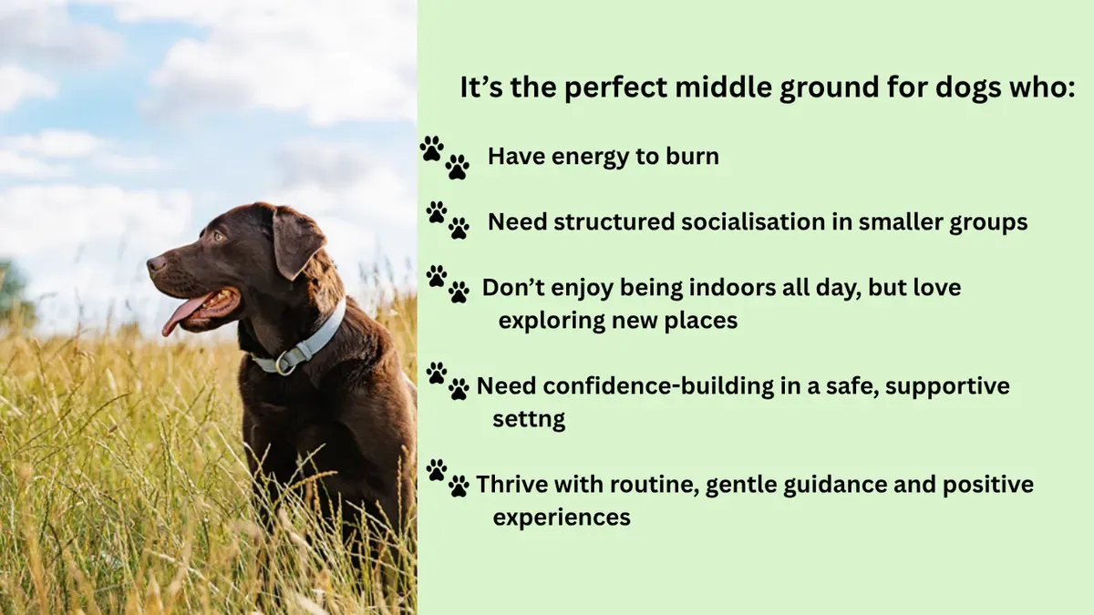 Descriptive text for the image