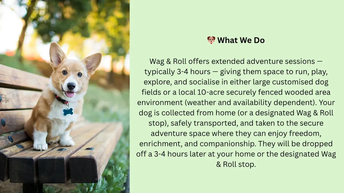 Descriptive text for the image