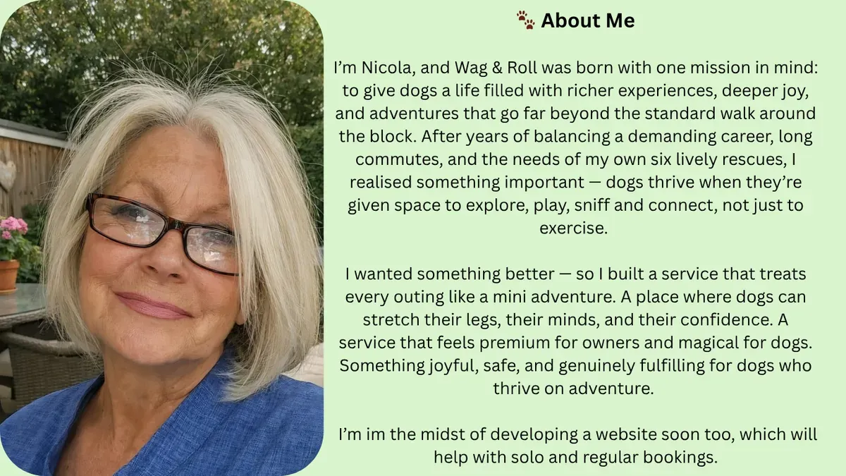 Descriptive text for the image