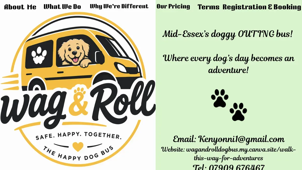 Descriptive text for the image