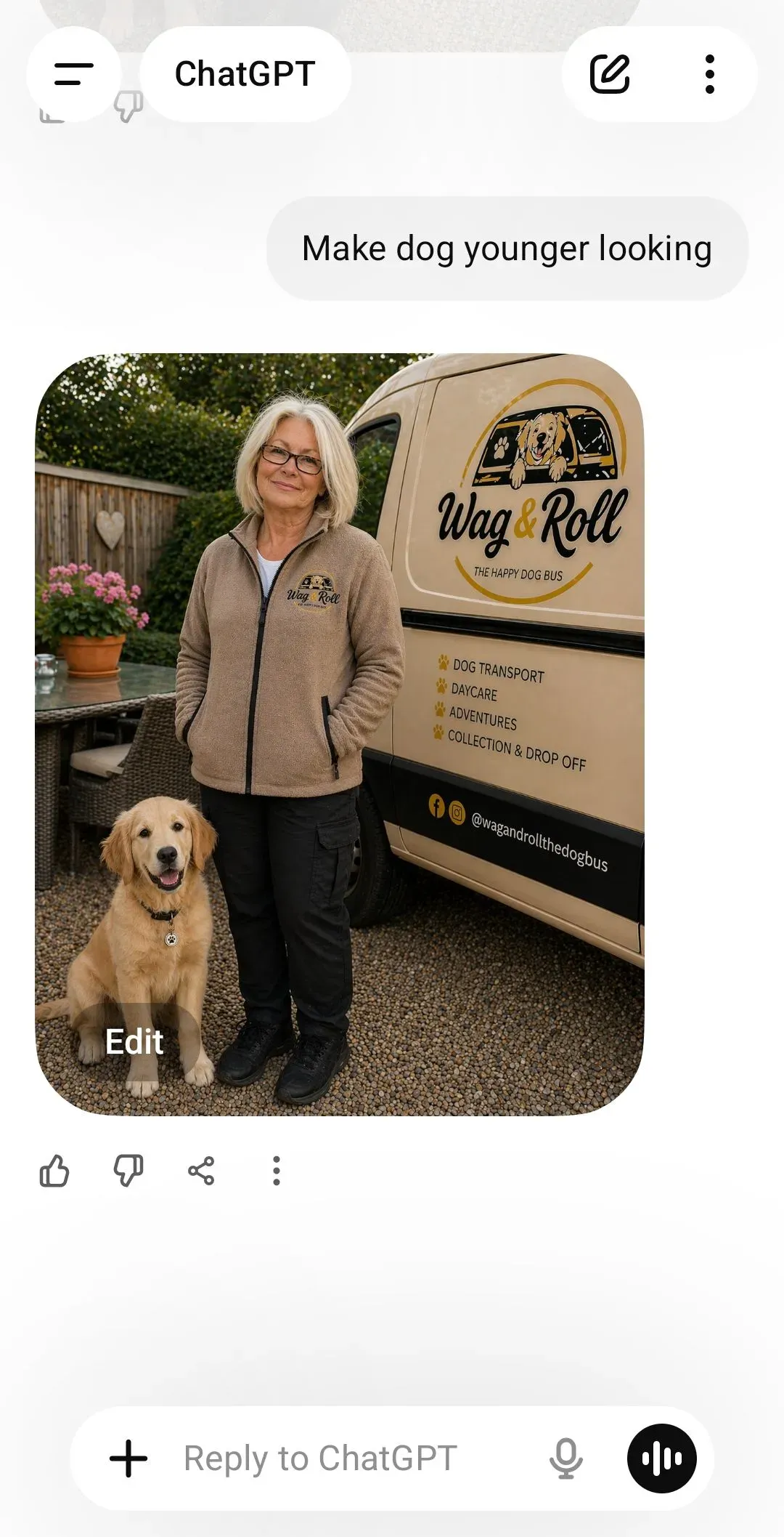 Descriptive text for the image