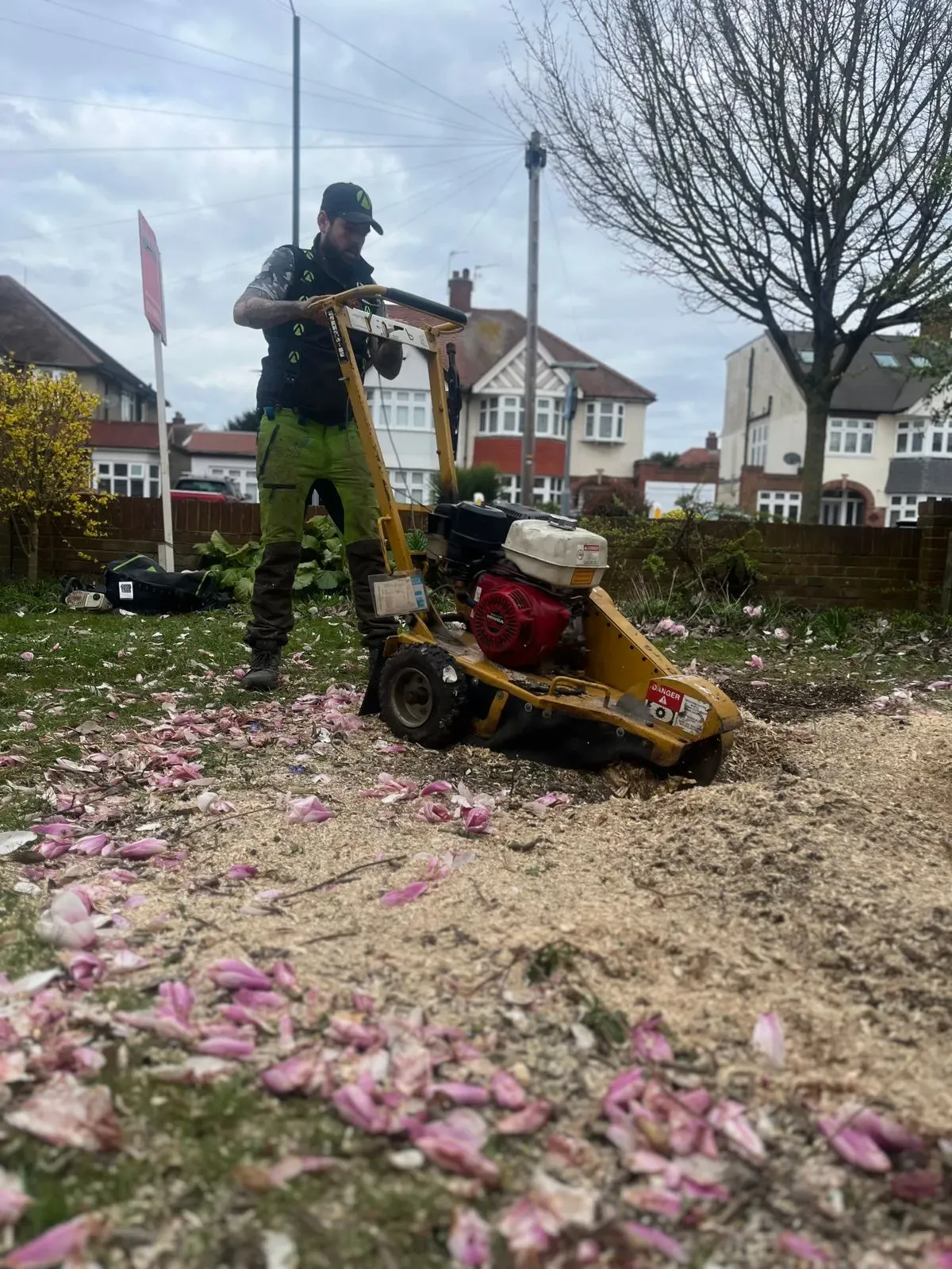<h3><span style="color:white">Tree surgery</span></h3> image background image