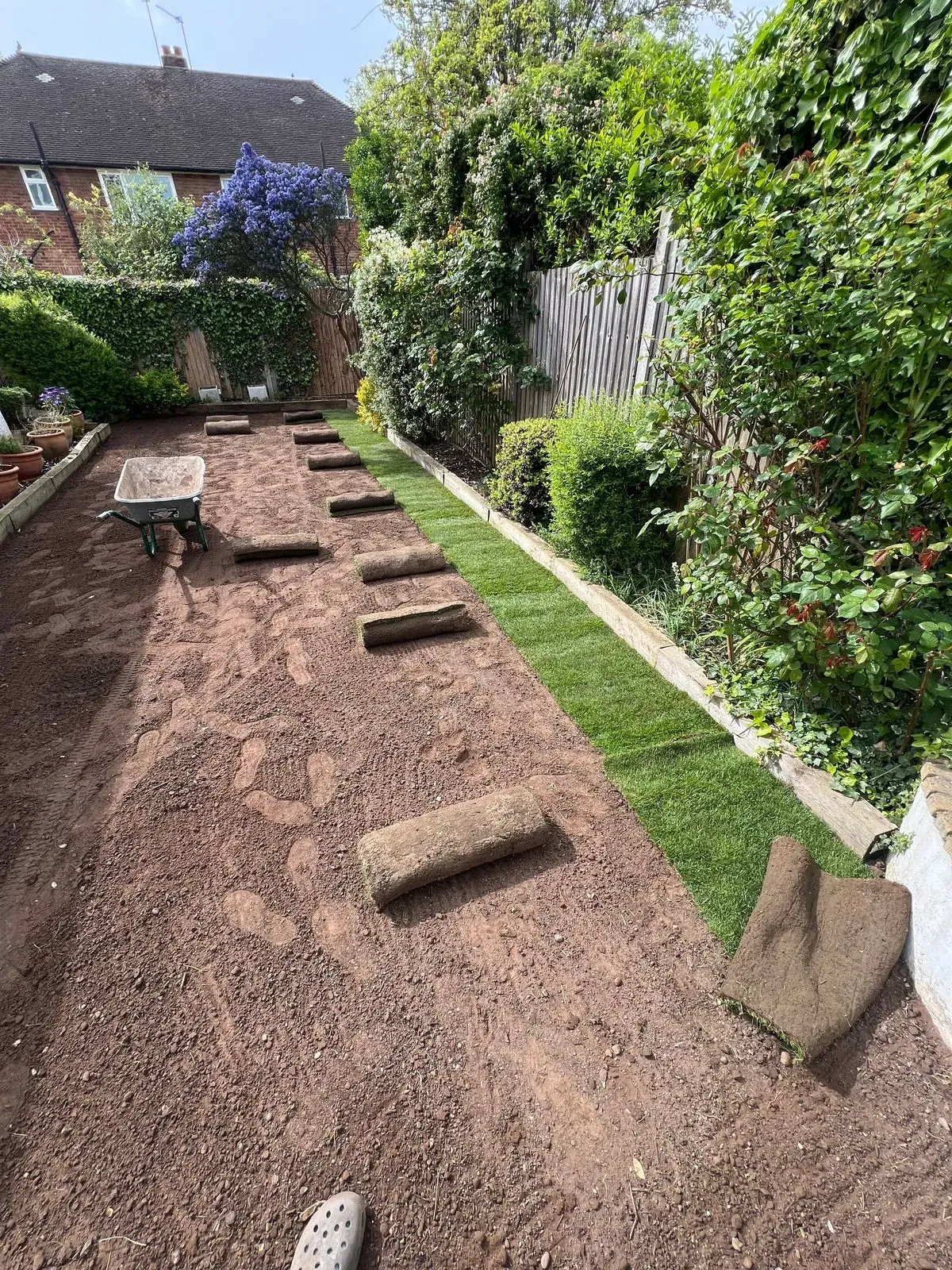 <h2>Lawn mowing</h2> image