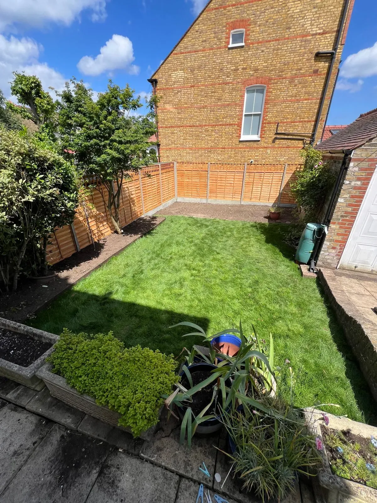 Gallery image 8