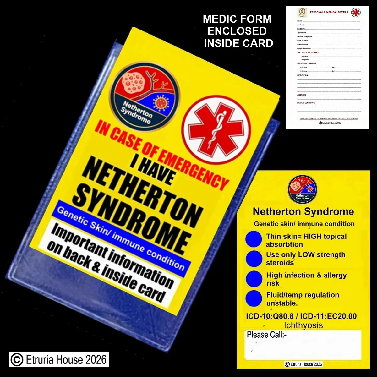 8218274278730-adbr9hhsm3k2yr92zoh6ye-netherton--syndrome-artwork thumbnail image