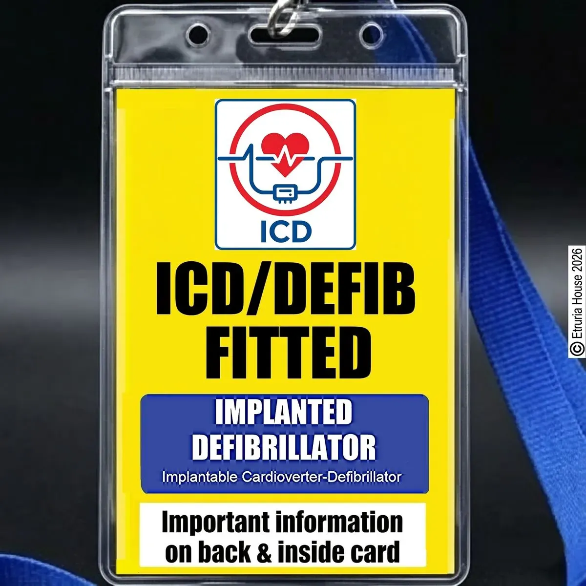 8218799936435-ox6z774f2a8bdj0ybr2dz-ICD-front thumbnail image