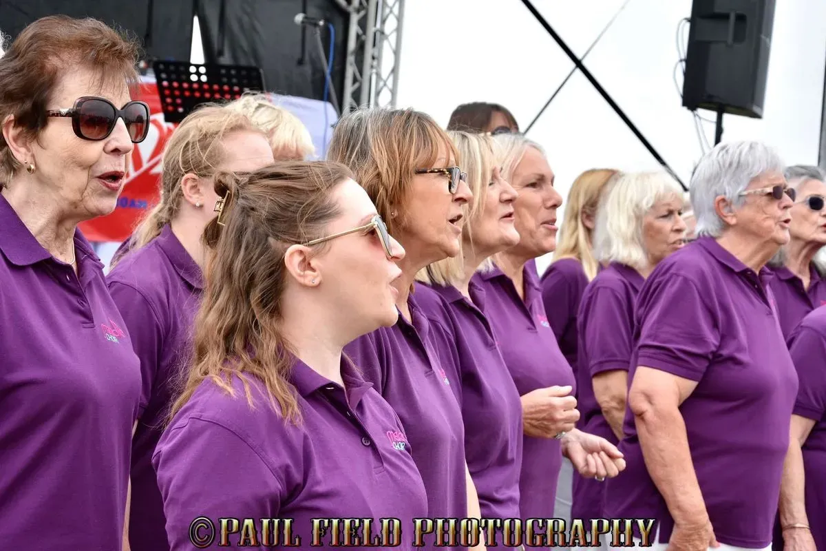 Descriptive text for the image