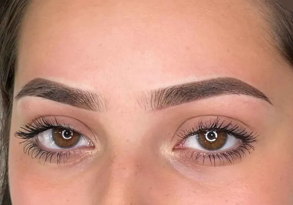 Stylish illustration of brow lamination results