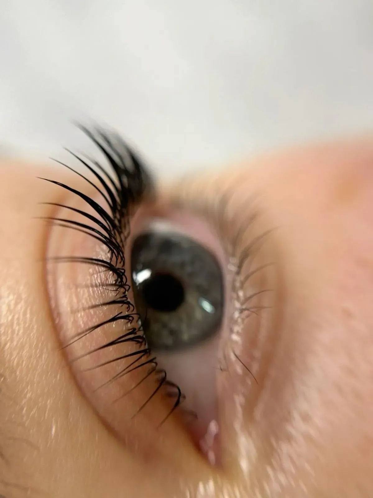 Korean Lashlift image background image