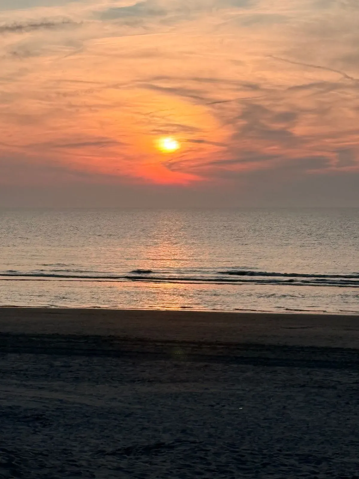 8223569824455-fny7fpubgybwh8p6km5d6o-IMG-0171 thumbnail image