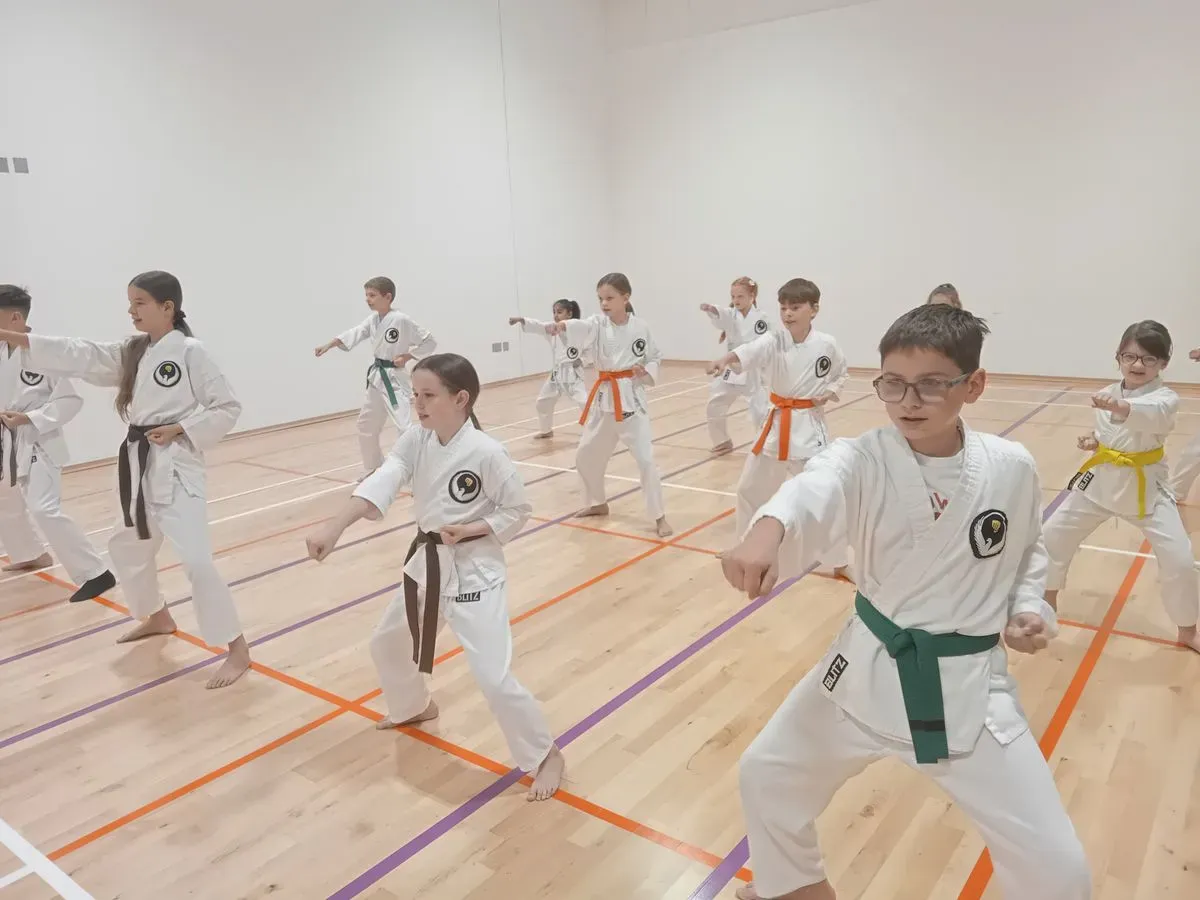 Karate classes for children image background image