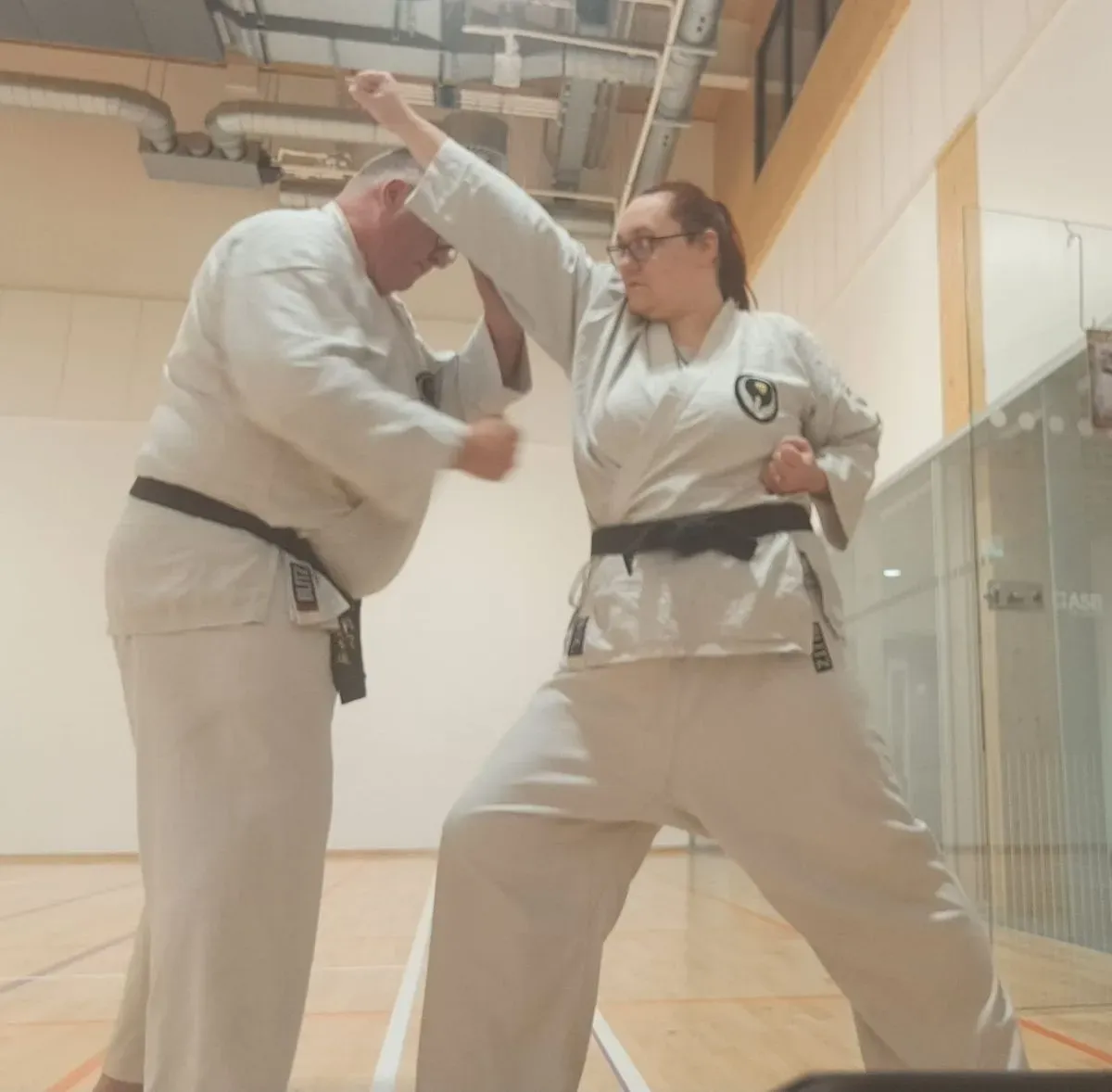 Adult karate training programmes image background image