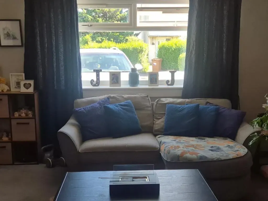 Descriptive text for the image
