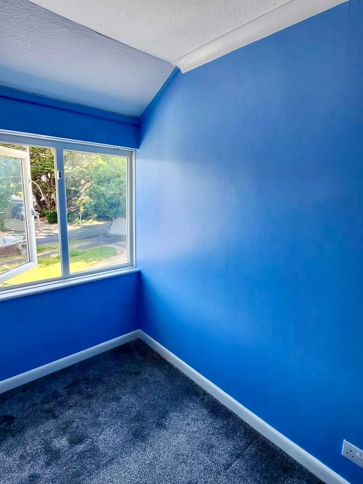 Gallery image 1
