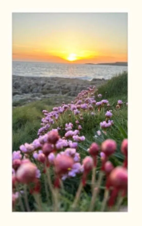 undefined thumbnail image