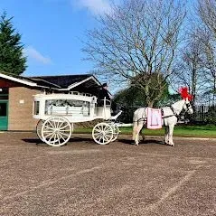 Free Advice and Guidance image