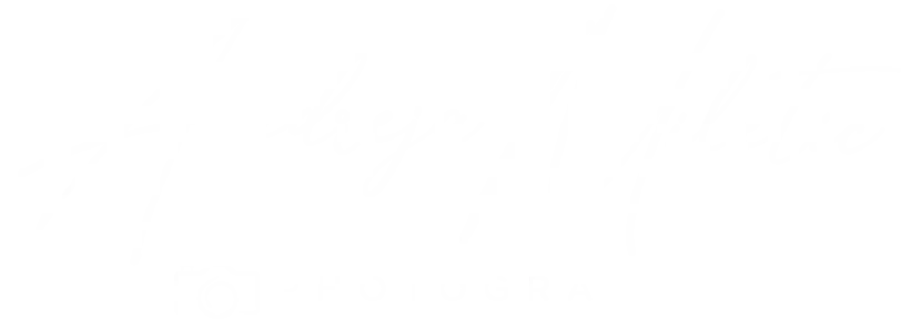 Andreja Miletic Photography  logo