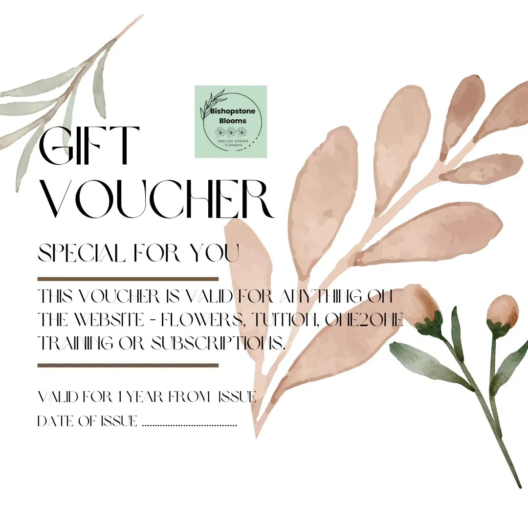 20250121_150800_0000 thumbnail image