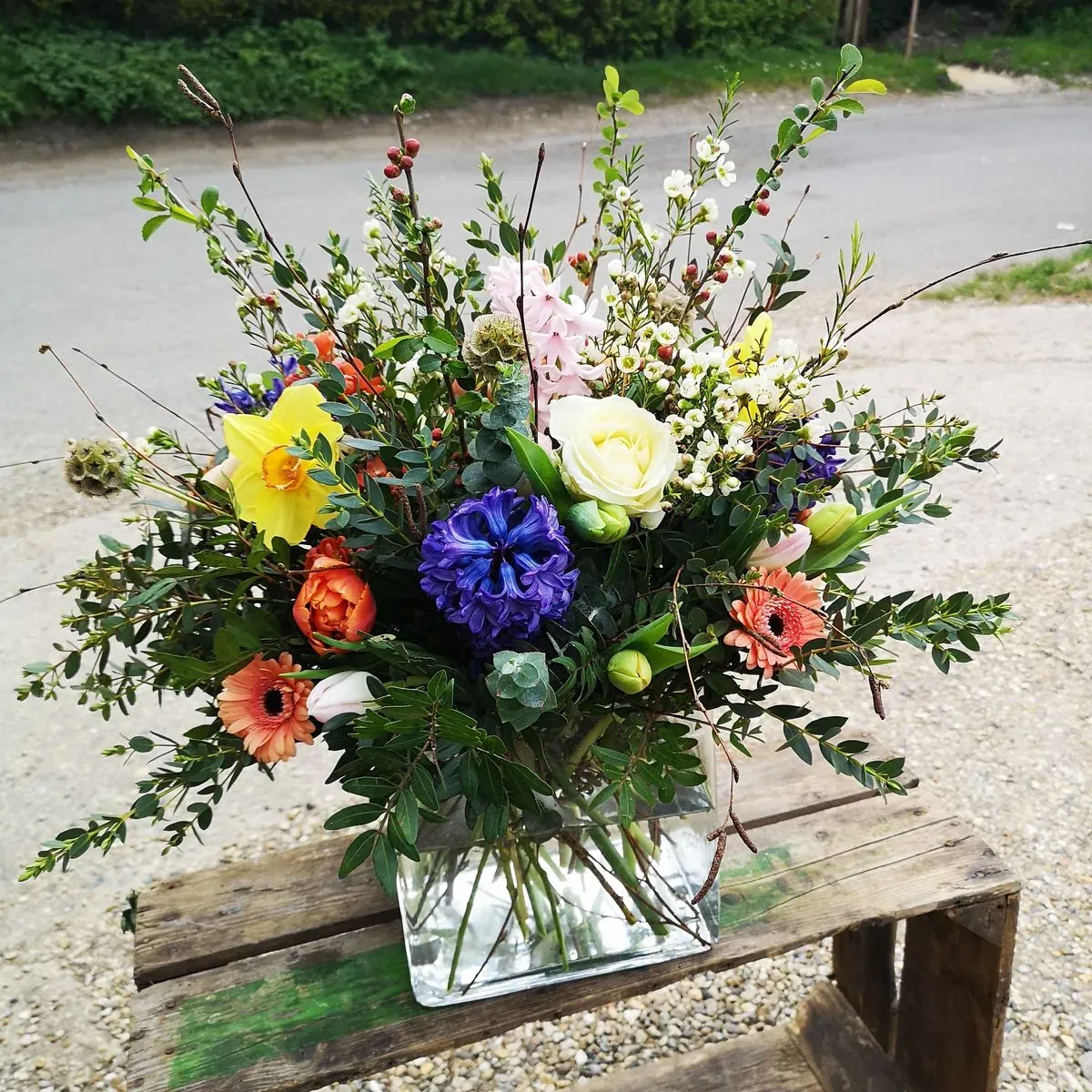 Spring Planted Arrangements