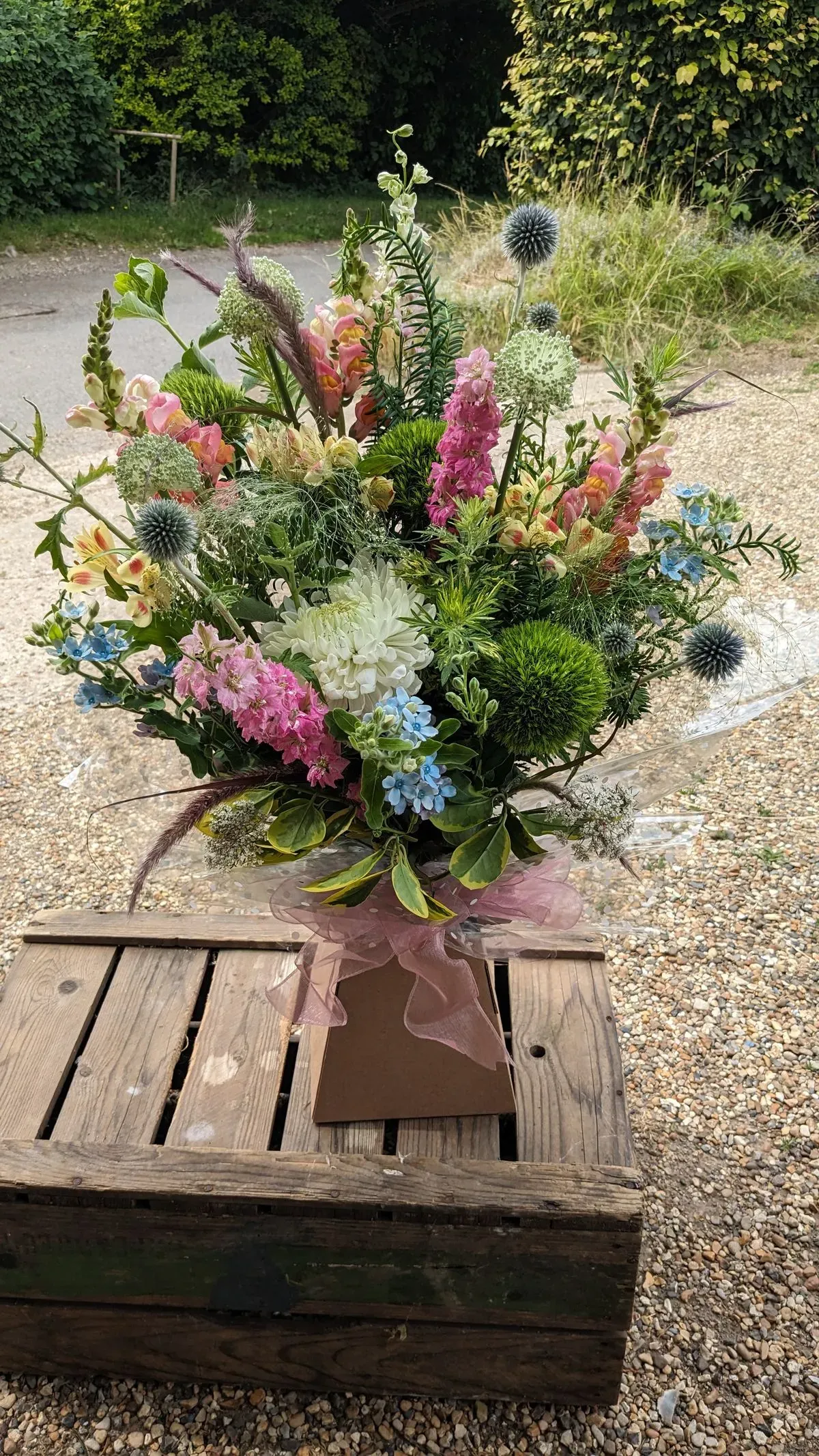 PXL_20230708_093153819 thumbnail image