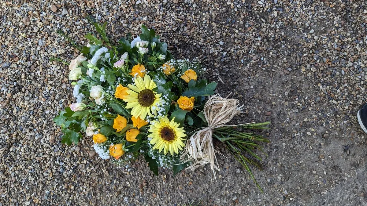 PXL_20230915_074050333.MP thumbnail image