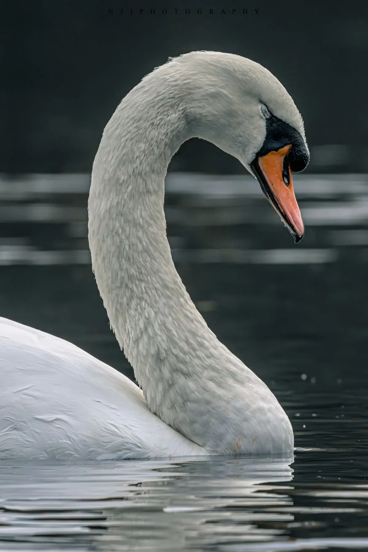 Descriptive text for the image