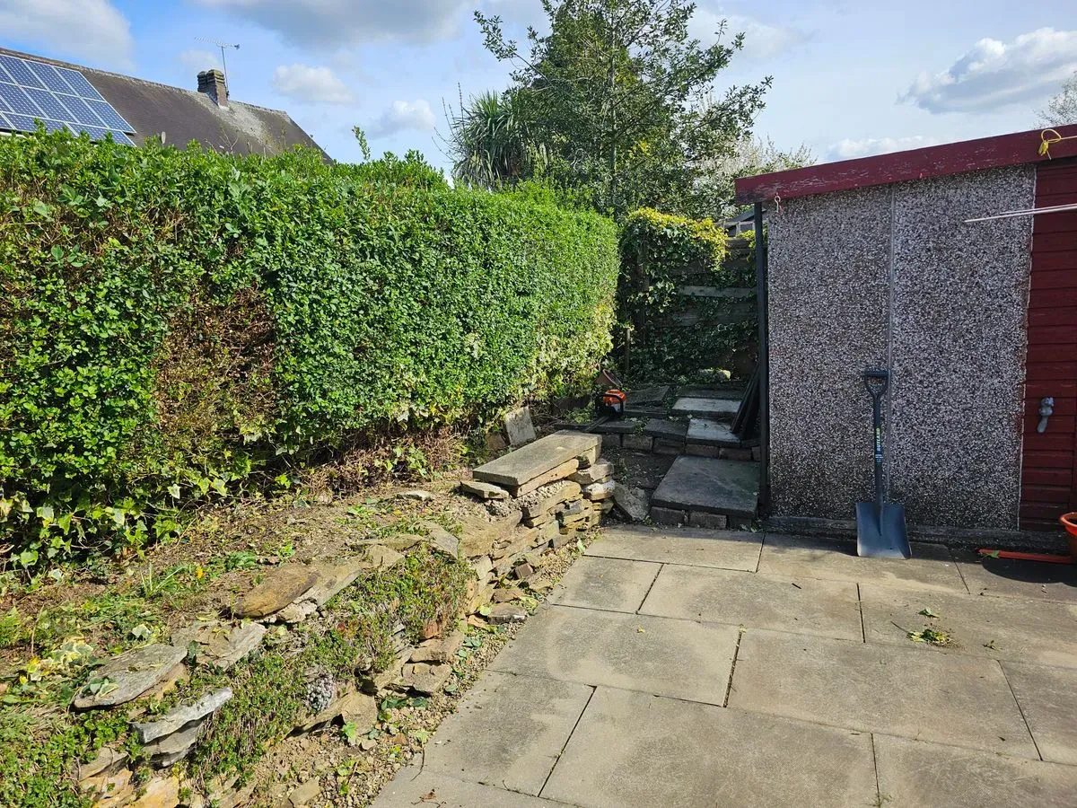 Hedge maintenance image background image