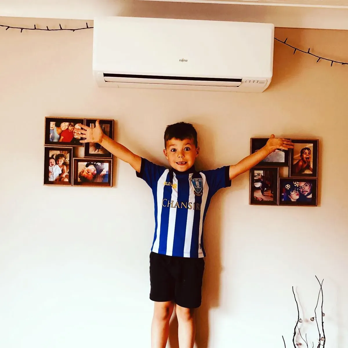 Descriptive text for the image