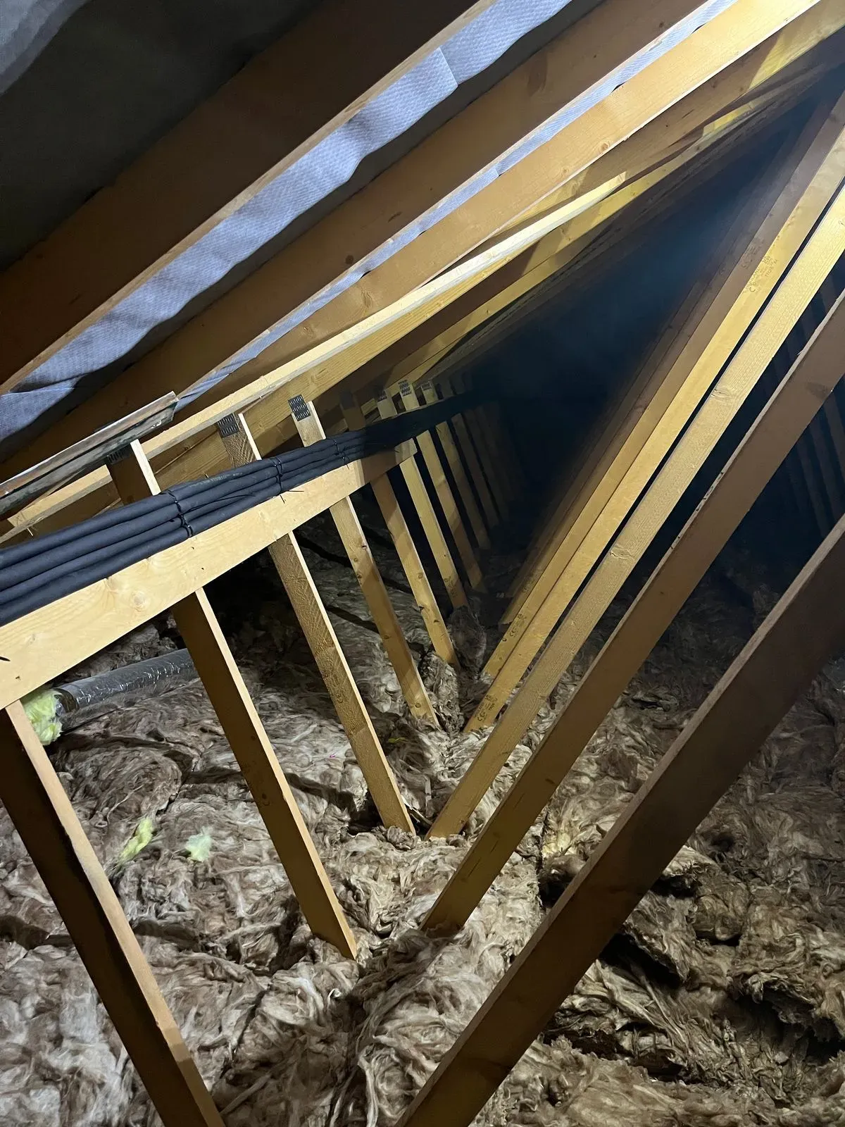 Descriptive text for the image