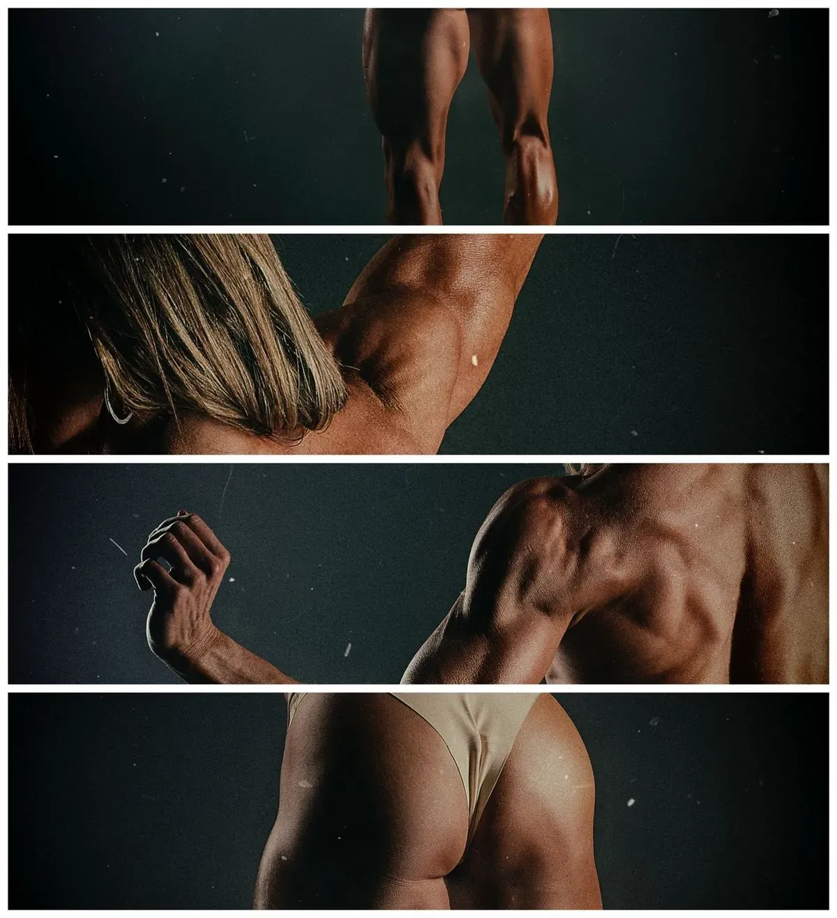 Descriptive text for the image