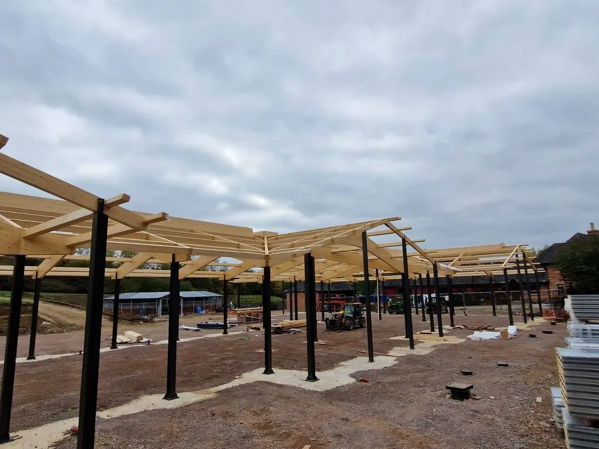 Descriptive text for the image