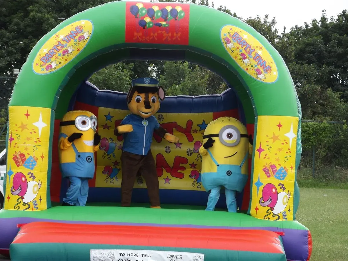 Children's party entertainment image