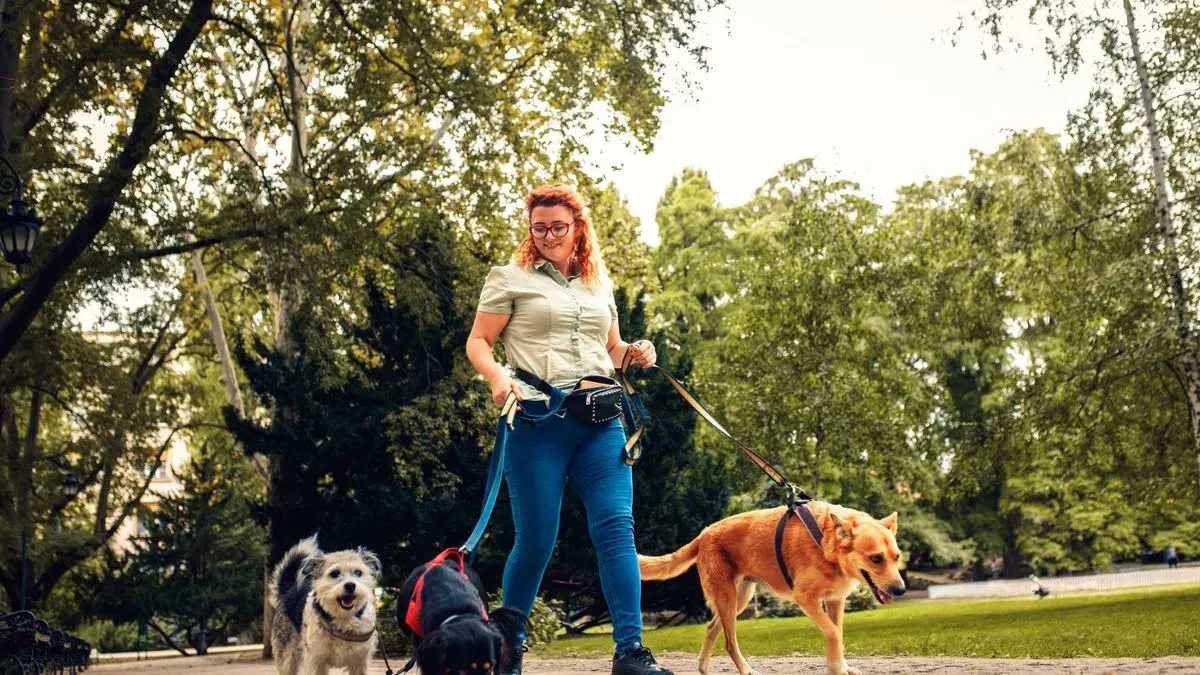 Professional dog walker with a pair of happy dogs