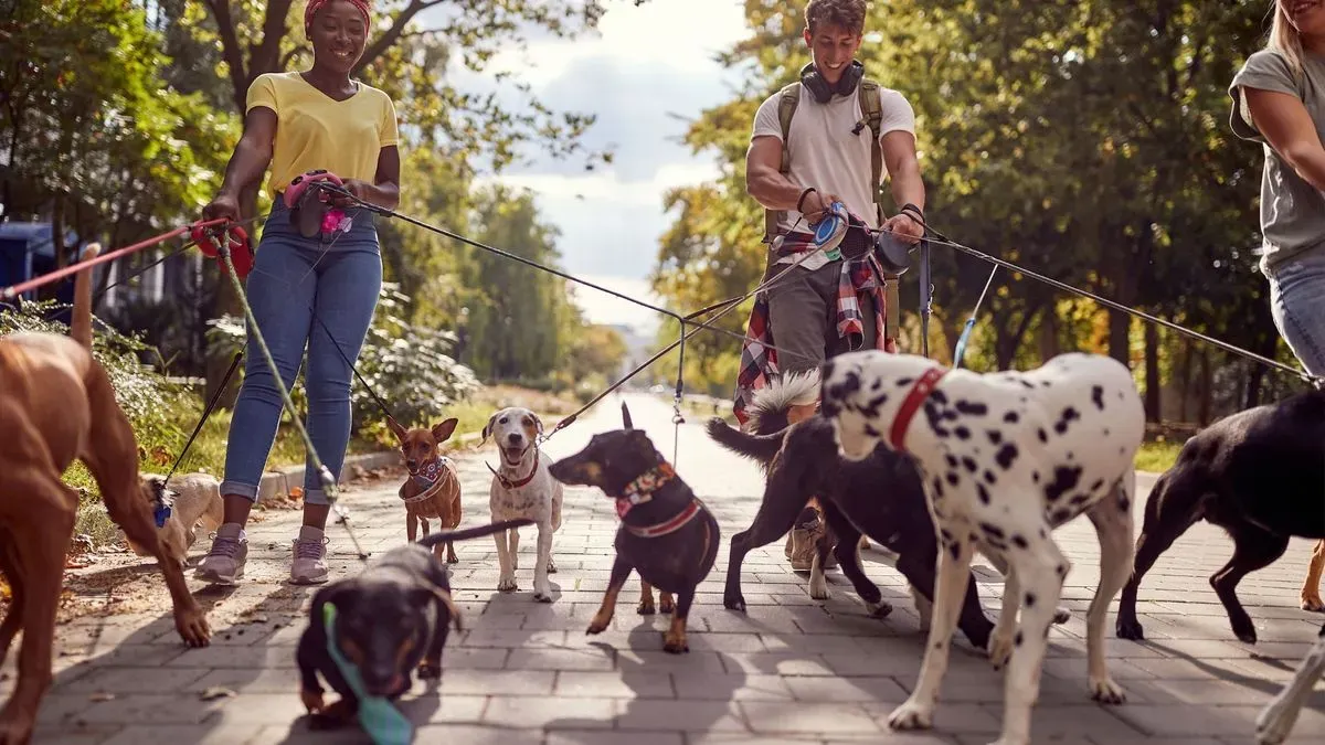 Scenic trails near Warham popular with dogs