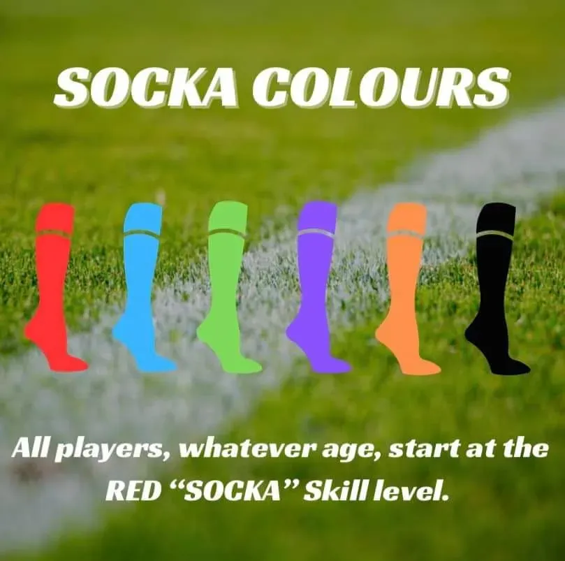 Descriptive text for the image