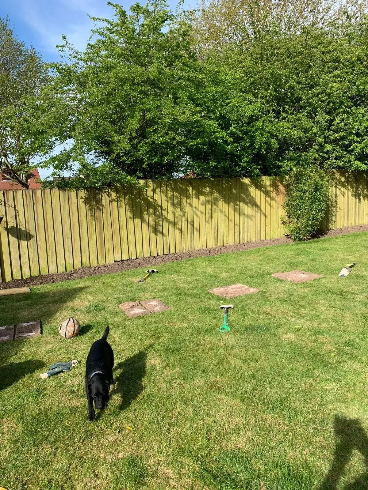 Descriptive text for the image