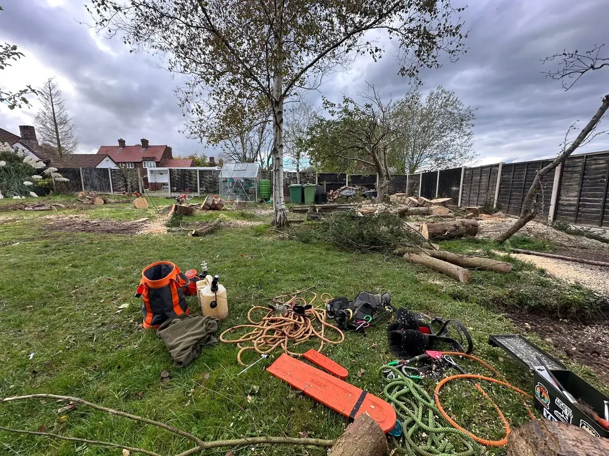 Worker in Liverpool performing urgent tree removal