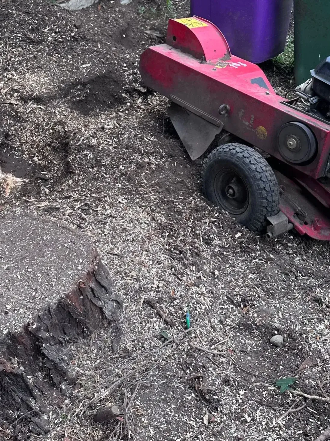 Landscape ready for replanting after stump grinding in Liverpool