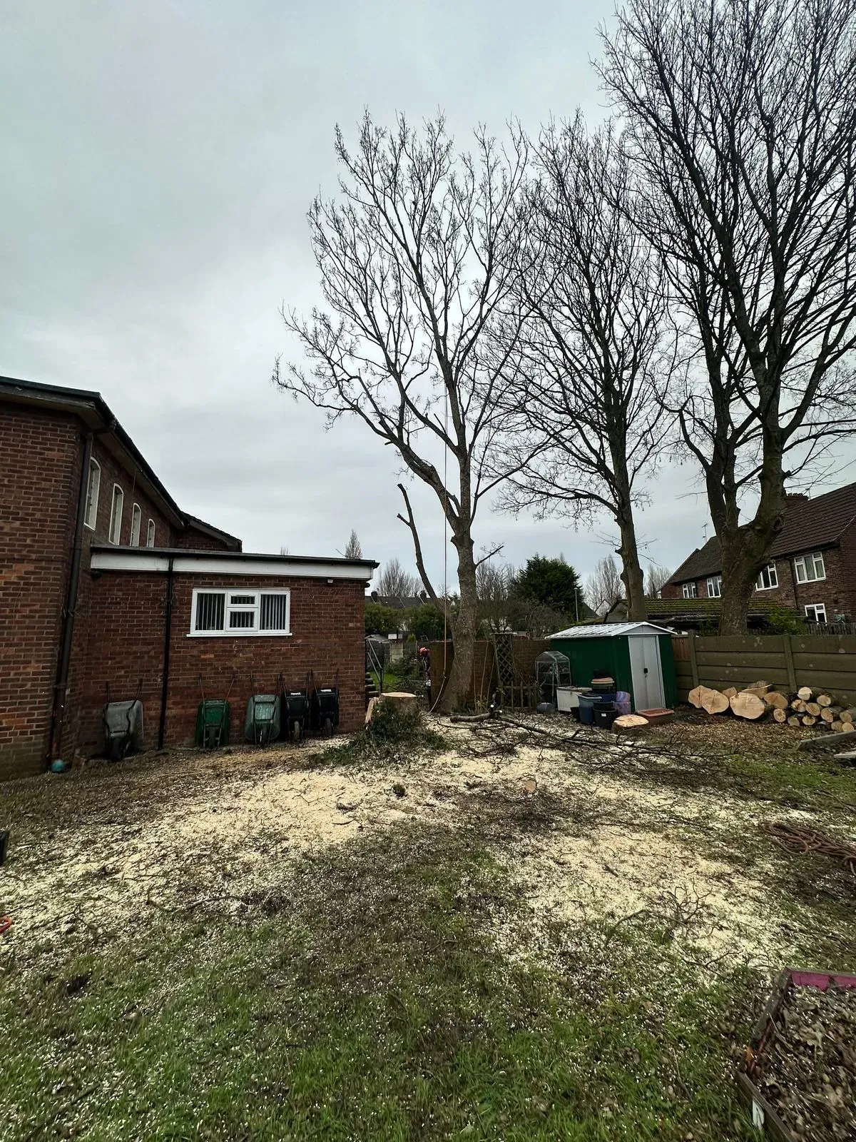 Emergency tree services image background image