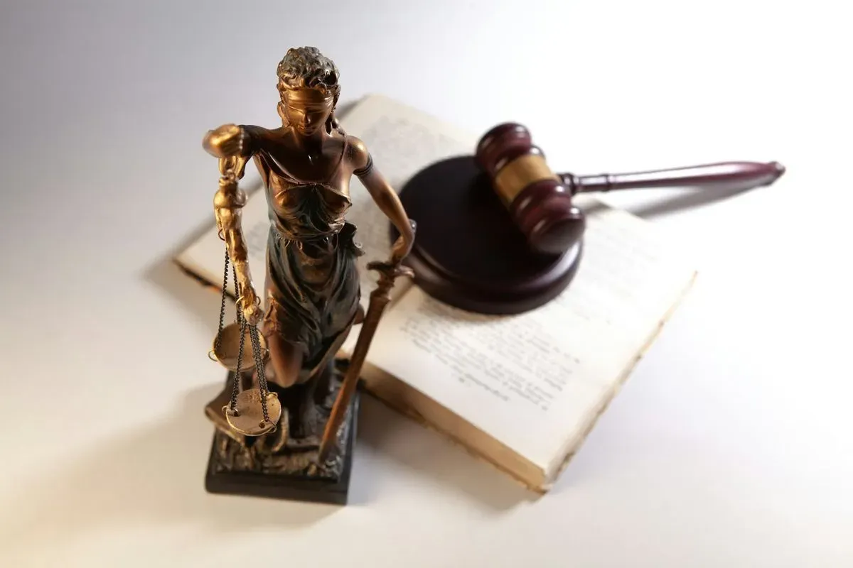 Immigration Services image