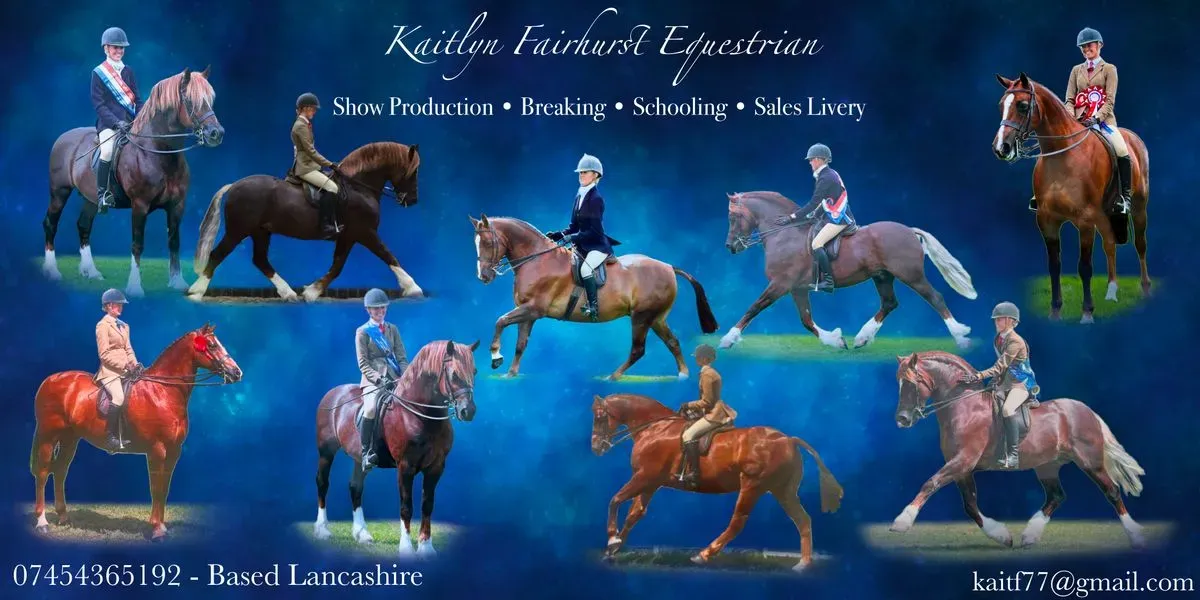 Website design image