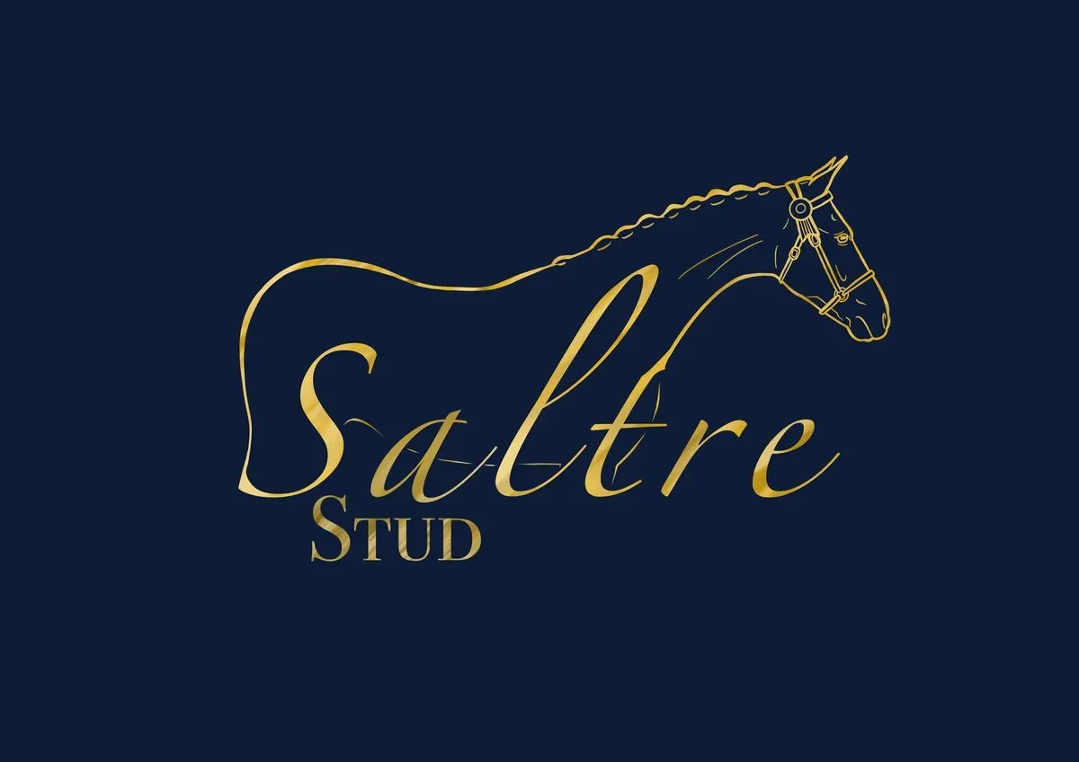 Responsive web design image