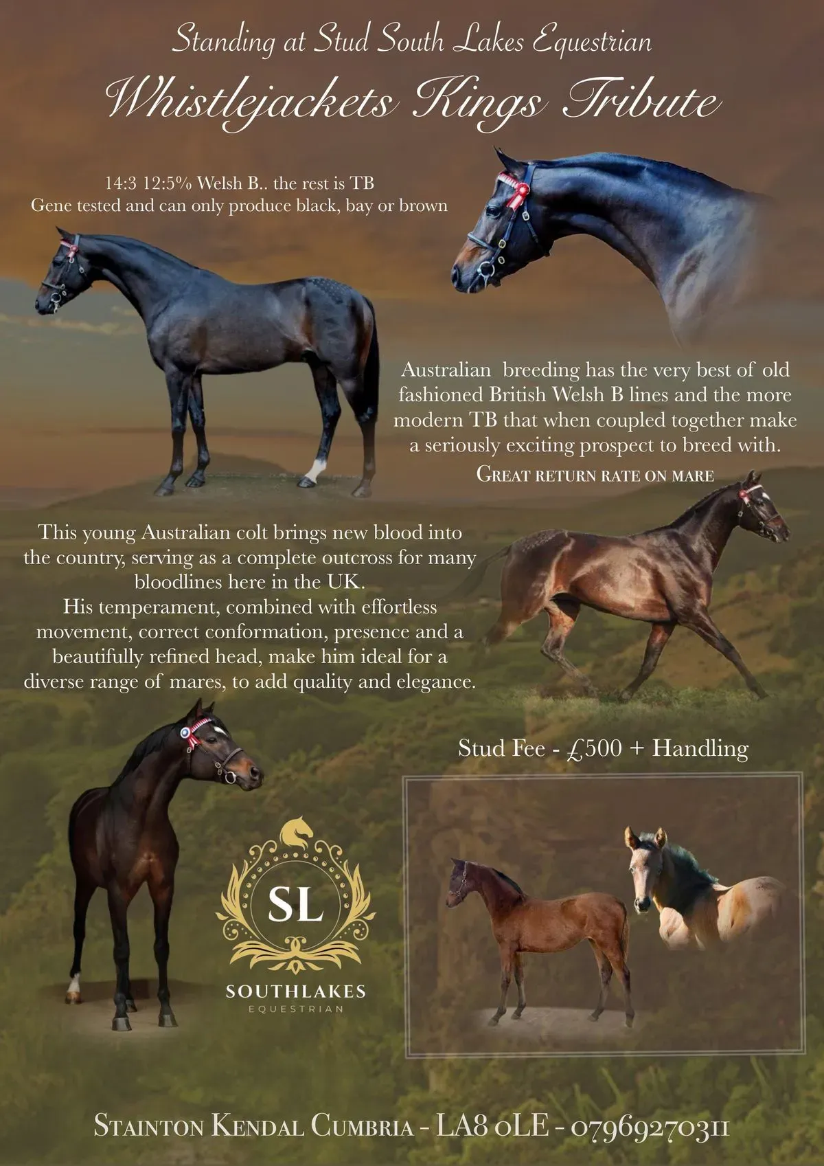 Responsive web design image