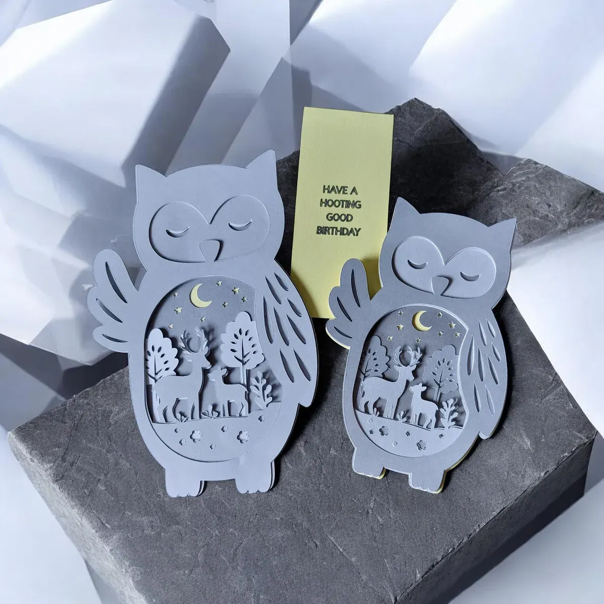 8227029467050-545gx1tdvuyi92u20gdz-20260214-152607 collection background image