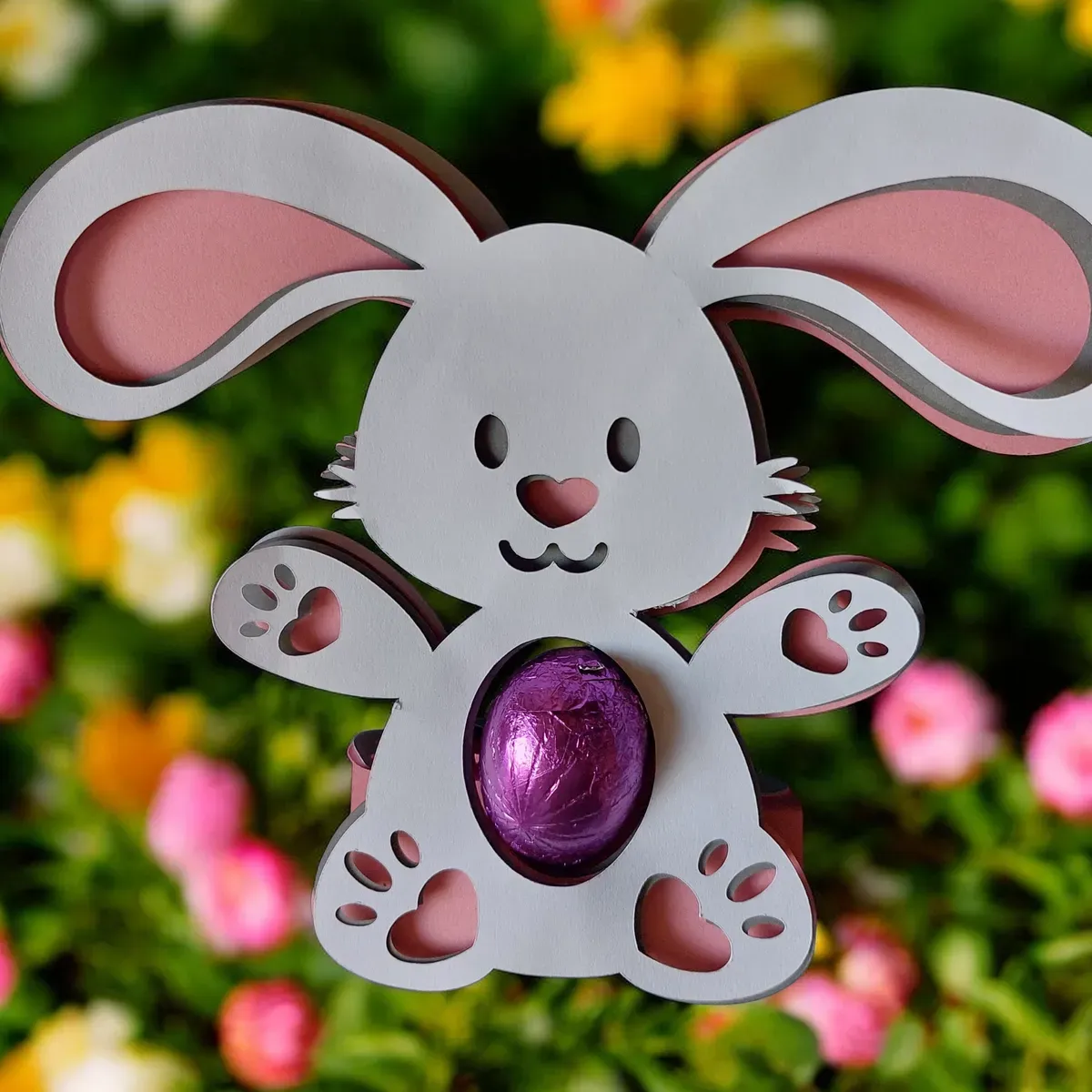 8227038181226-8f988mkzhba1p07xxqyiyt-20260224-155011 collection background image