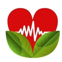 Gilgal natural health services  logo