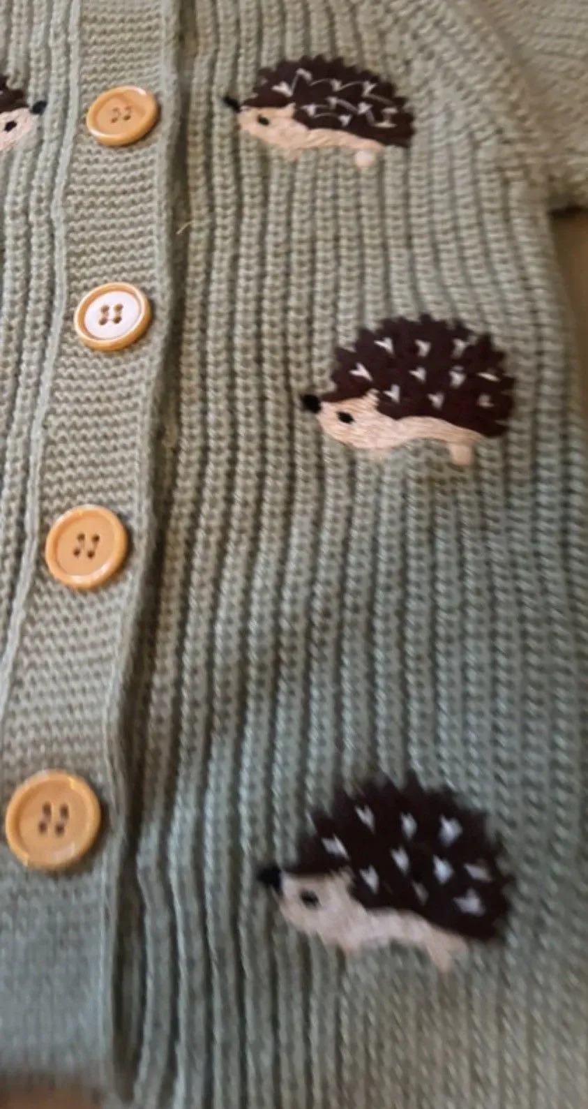 8212329993273-13f7hlycq5twaavnlv3nsn-Hedgehog-romper-2 thumbnail image