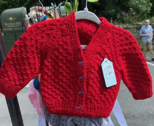 8218894031320-honrnyrwjqhmjxsfb4v-Red-jumper thumbnail image