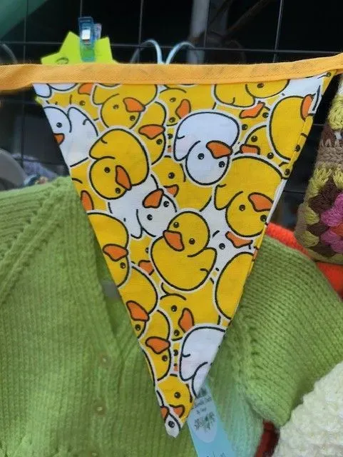 8218984561534-qvvpfd5q7zprsorfj7qqnr-Duck-bunting thumbnail image