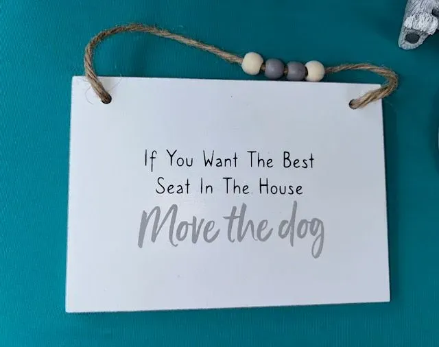 8219067048786-bnpgm8u7w9p28p3icg779-Move-the-dog-sign thumbnail image
